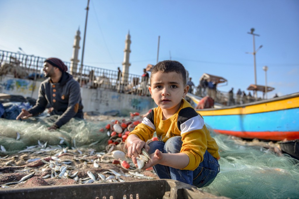 Child pulling fish from net in Gaza City
